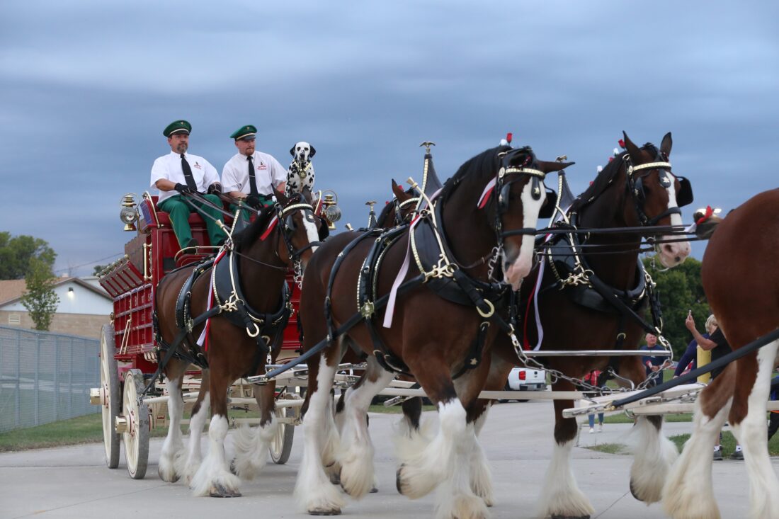 Lawrence’s Budweiser distributor wins ‘national championship’ as best in the U.S.; tax numbers show local liquor sales fell in 2025